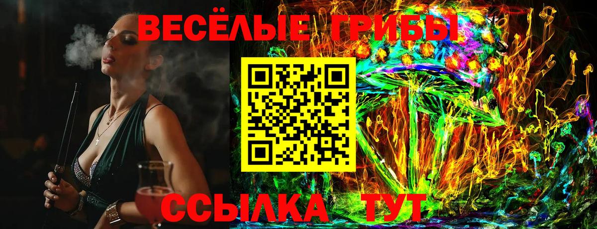 купить закладку  Галлюциногенные грибы ЛСД  Вход с VPN  Галлюциногенные грибы GOLDEN TEACHER  Холмск 