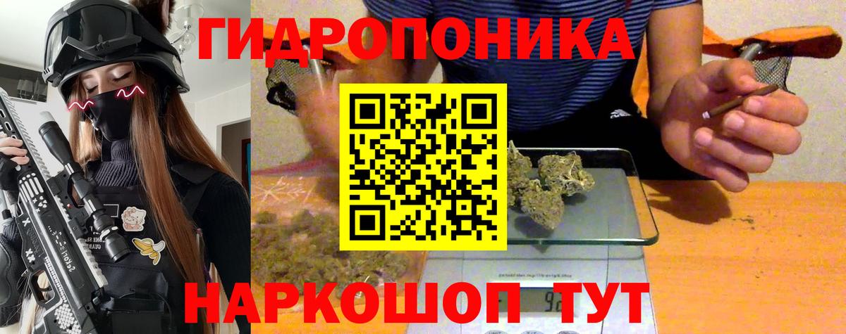 Шишки марихуана семена  Бошки марихуана White Widow  Вход с VPN  Холмск  Бошки Шишки OG Kush 